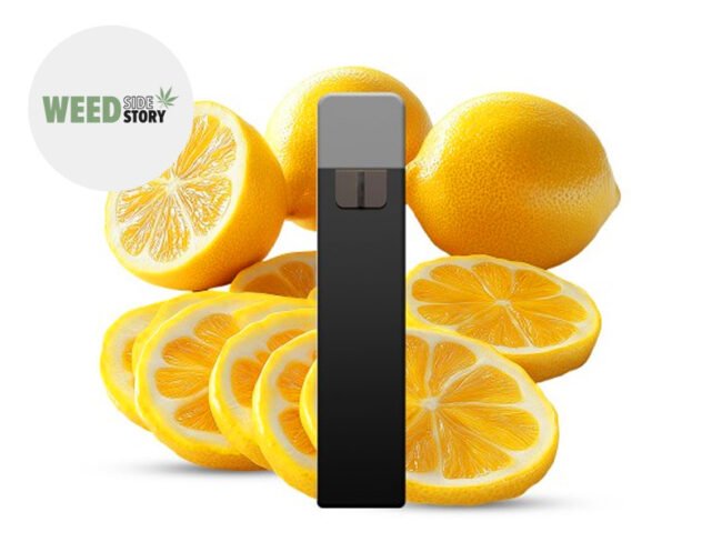Puff Citron 95% CBD (jetable) - Weed Side Story