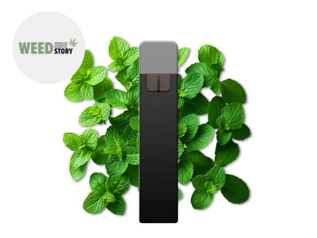 Puff Menthe 95% CBD (jetable) - Weed Side Story