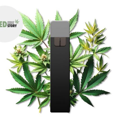 Puff Cannabis 95% CBD (jetable) - Weed Side Story