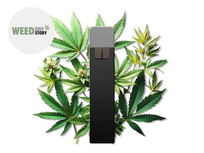 Puff Cannabis 95% CBD (jetable) - Weed Side Story