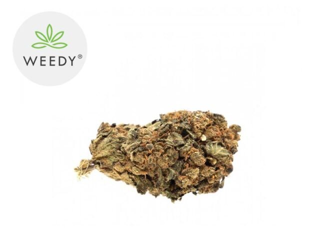 Harlequin CBD 14% - Weedy
