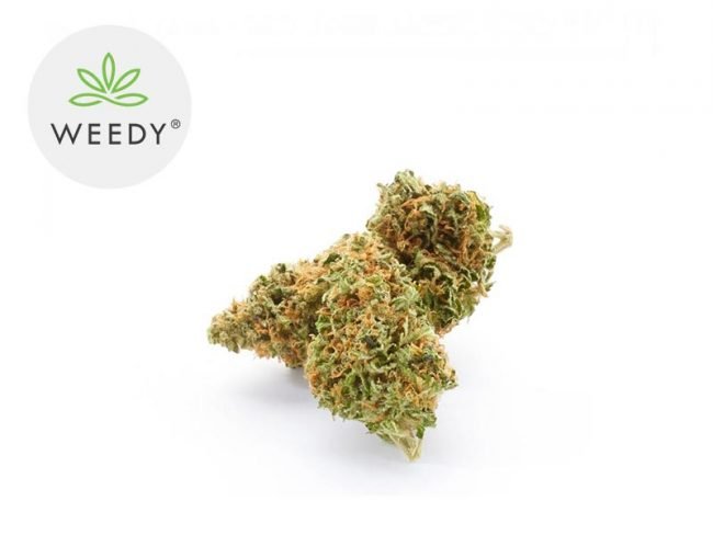 Super Silver Haze CBD 11% - Weedy