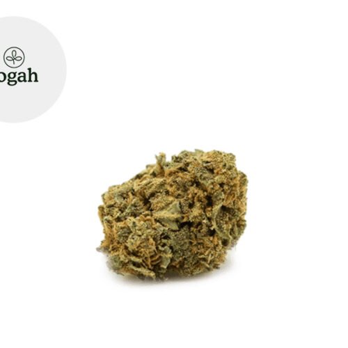 Super Skunk CBD 8% - Yogah