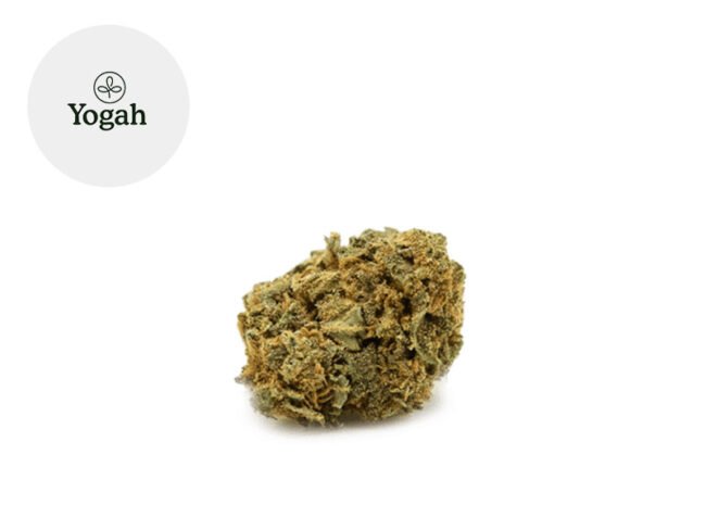 Super Skunk CBD 8% - Yogah