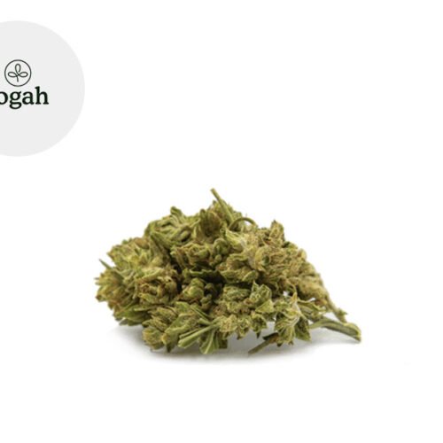 Amnesia d'Ardèche CBD 7