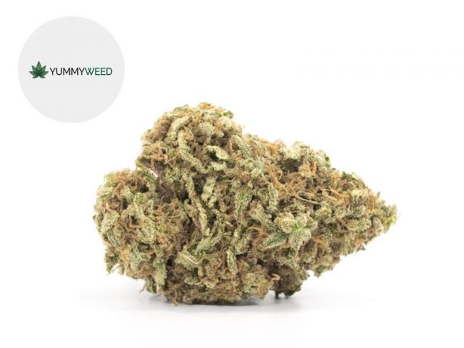 Super Silver Haze CBD 11% - Yummyweed