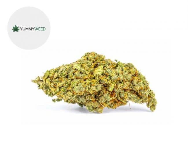 Lemon Haze CBD 11% - Yummyweed