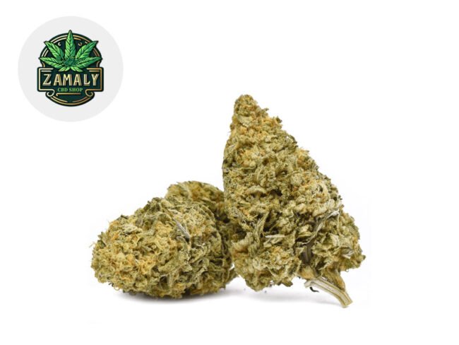 Bubble Gum CBD 19% - Zamaly