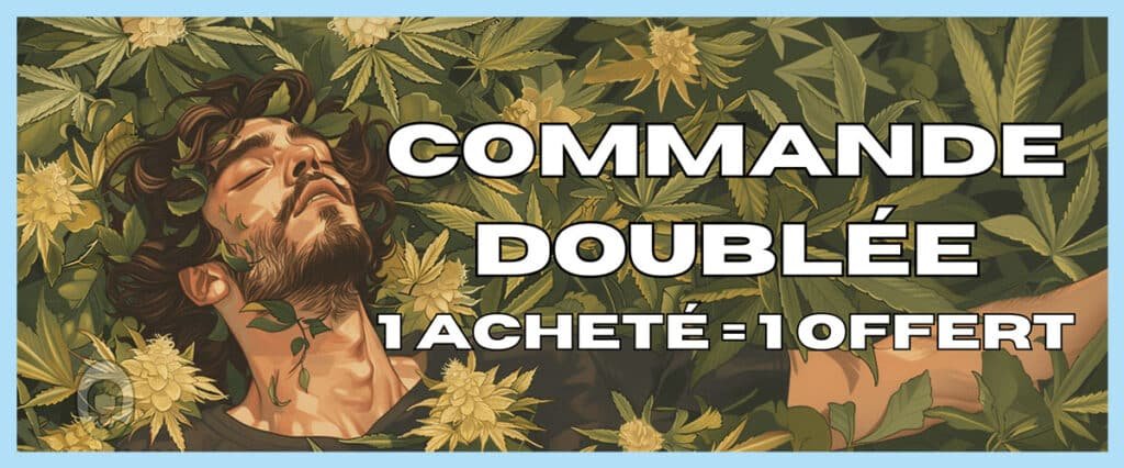 commande doublée