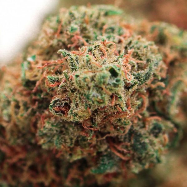 fleur cbd cbd420