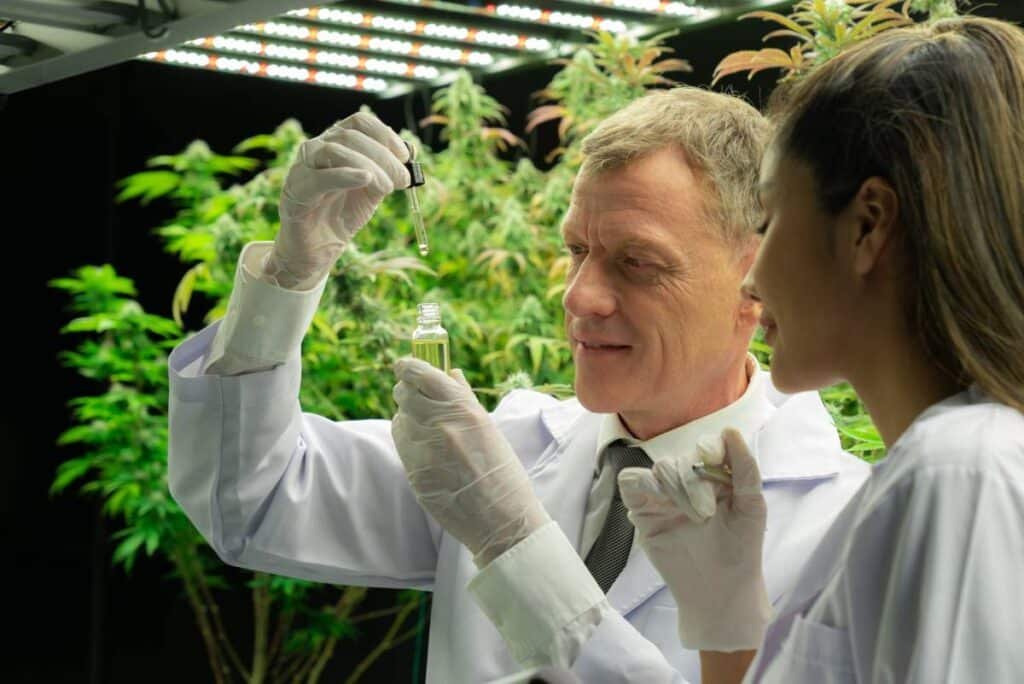 huile cbd conservation