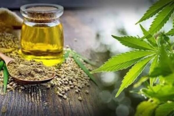 huile cbd utilisation