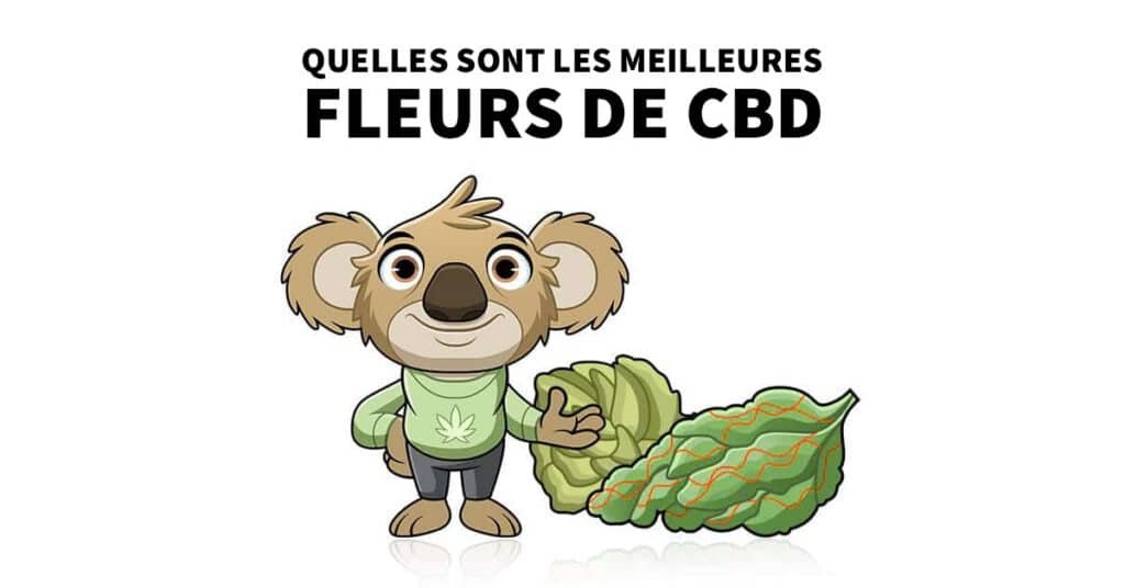 quelles sont les meilleures fleurs de cbd