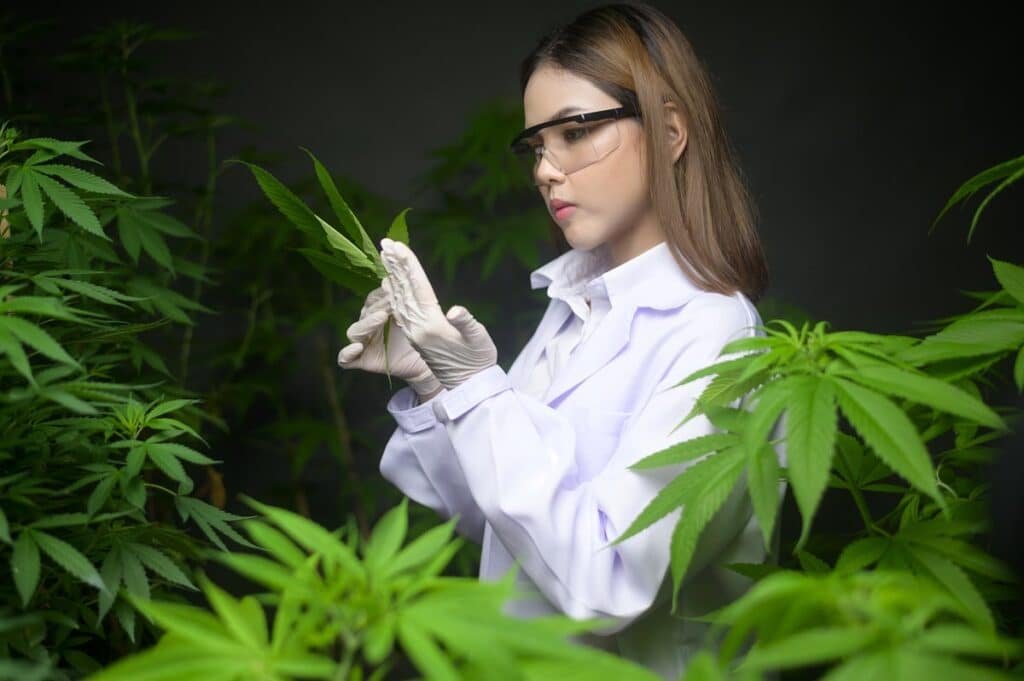 scientifique avec cannabis