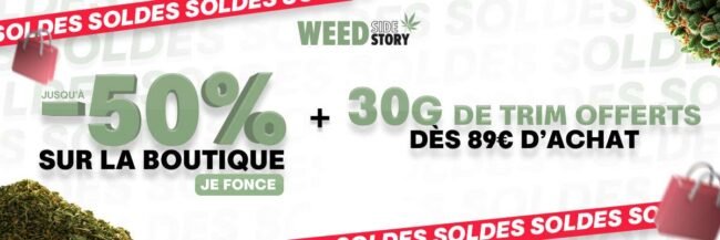 soldes wss