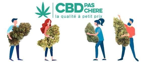 team cbd pas chere