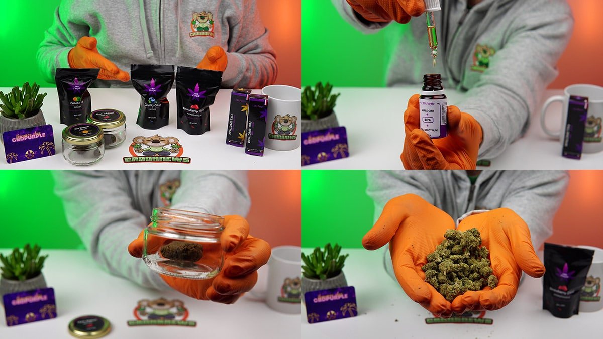 unboxing cbd purple