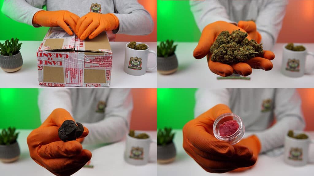 unboxing tealerlab